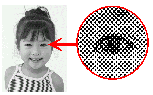 03_01_02.gif (15286 �o�C�g)